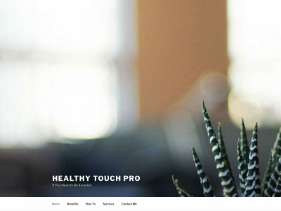 healthytouchpro.com snapshot