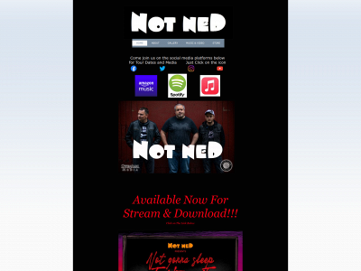 not-ned.com snapshot