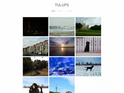 tulups.weebly.com snapshot