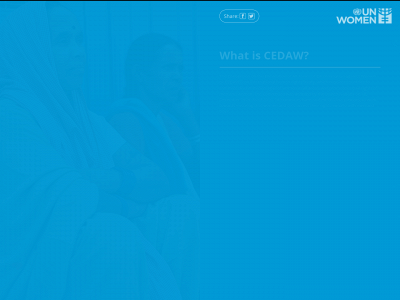 cedaw-in-action.org snapshot