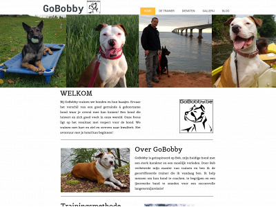 www.gobobby.be snapshot
