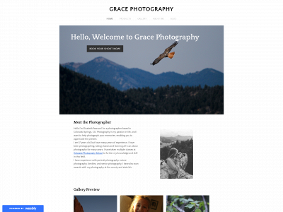 gracephotographyofficial.weebly.com snapshot