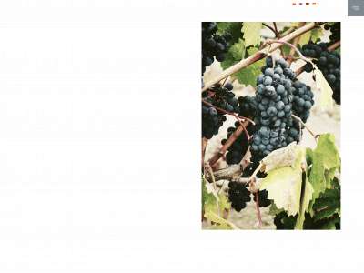winesofmallorca.org snapshot
