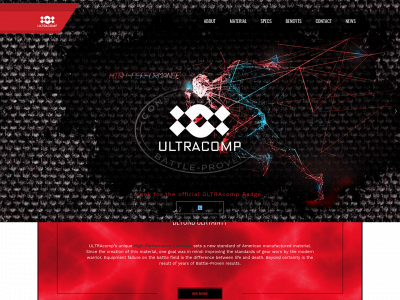 ultracomp.us snapshot