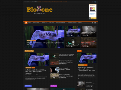 bioxone.in snapshot
