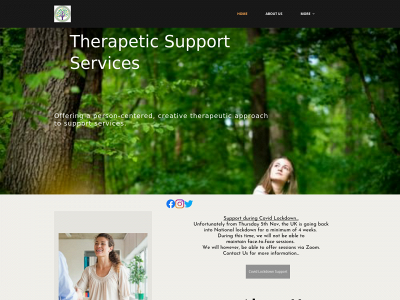therapeuticsupportservices.com snapshot