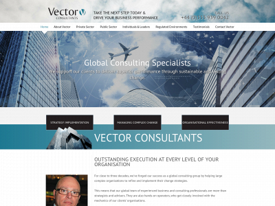 vector-consultants.com snapshot