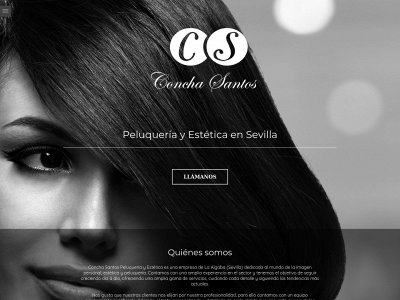 www.conchasantos.es snapshot