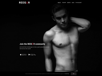 reegur.com snapshot