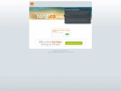 tong.co snapshot
