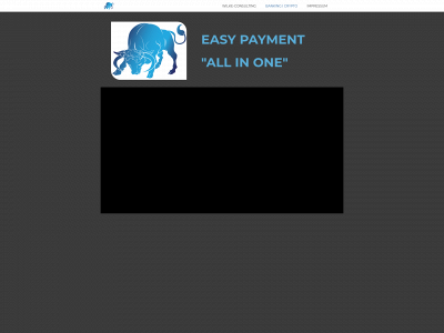 easy-payment.eu snapshot