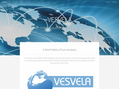 vesvelagroup.com snapshot