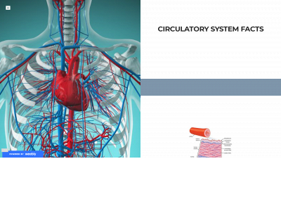 circulatorysystemfacts101.weebly.com snapshot