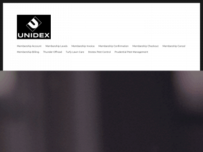 unidex.biz snapshot