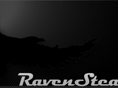 ravenstealth.com snapshot