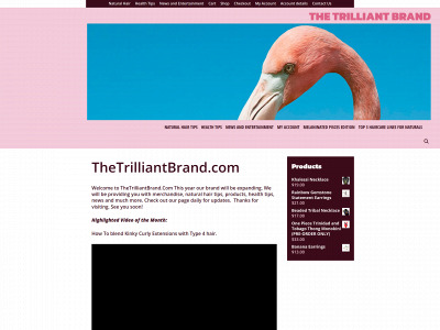 thetrilliantbrand.com snapshot