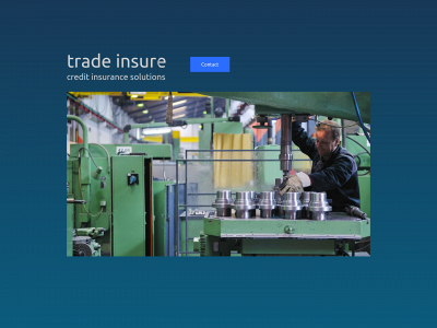 trade-insure.co.uk snapshot