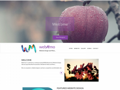 webnmo.com snapshot