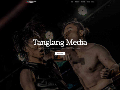 tanglangmedia.com snapshot