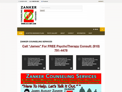 zankercounselingservices.com snapshot