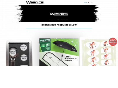 wesnics.com snapshot
