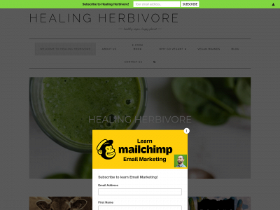 healingherbivore.com snapshot