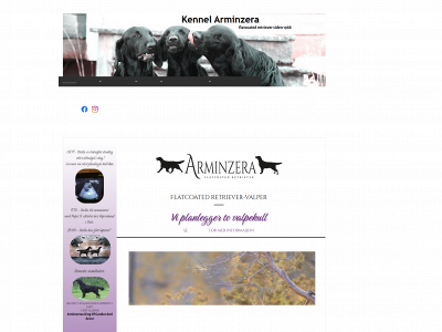 arminzera.com snapshot