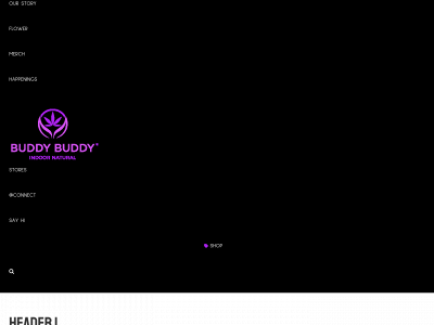 buddybuddy.website snapshot