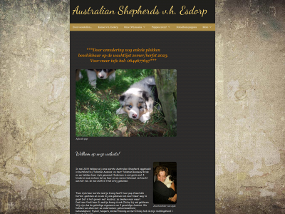 australian-shepherds.nl snapshot