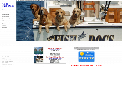 www.cabofishdogs.com snapshot