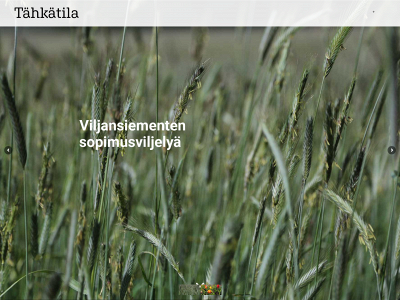 tahkatila.fi snapshot