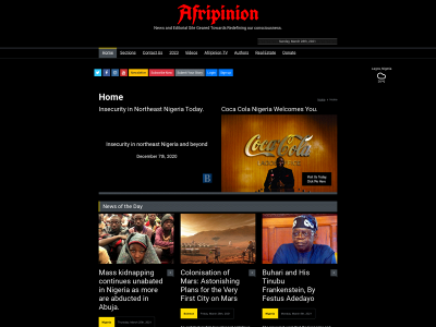 afripinion.com snapshot