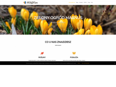 zielonyogrodmagnus.pl snapshot