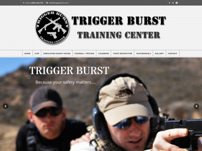 triggerburst.com snapshot
