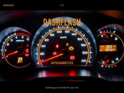 dashflash.weebly.com snapshot