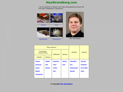 maxstrandberg.com snapshot