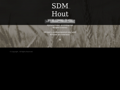 sdm-hout.be snapshot