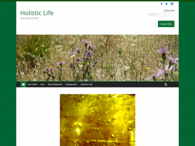 holisticlife.website snapshot