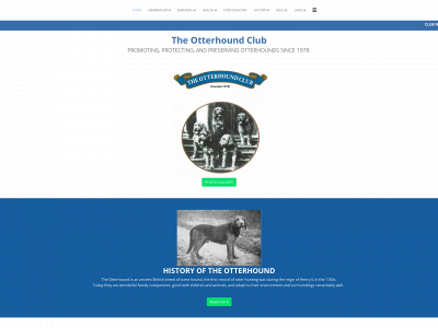 otterhoundclub.co.uk snapshot