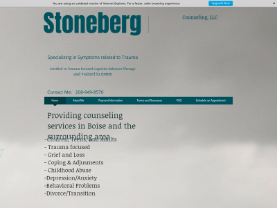 stonebergcounseling.com snapshot
