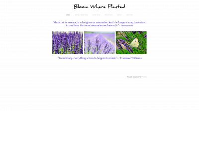 www.bloomwhereplanted.online snapshot