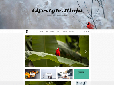 lifestyle.ninja snapshot