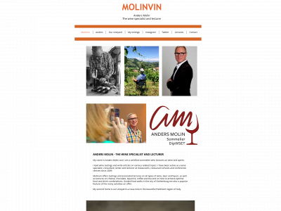 molinvin.com snapshot