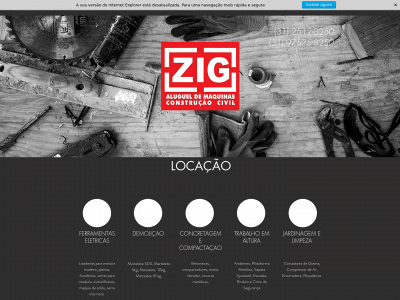 www.zigloc.com.br snapshot