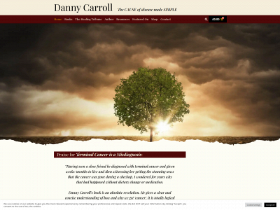 danny-carroll.com snapshot