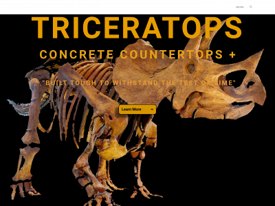 triceratopsnow.com snapshot