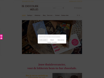 dechocolademeisjes.nl snapshot