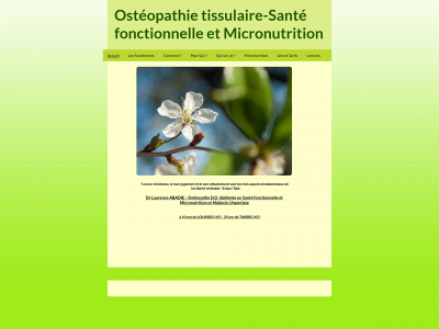 osteopathie-tissulaire-65.fr snapshot