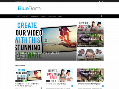 blueberra.com snapshot