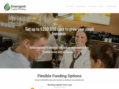 www.emergentfunding.com snapshot